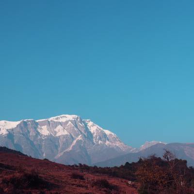 sikles blog